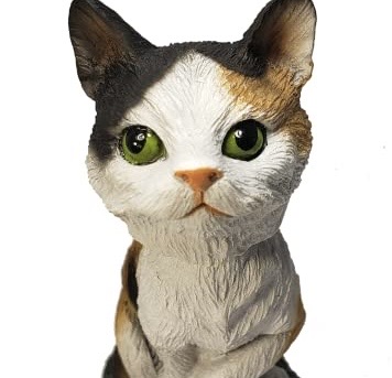Spain Promotional Cat Bobblehead Suppliers