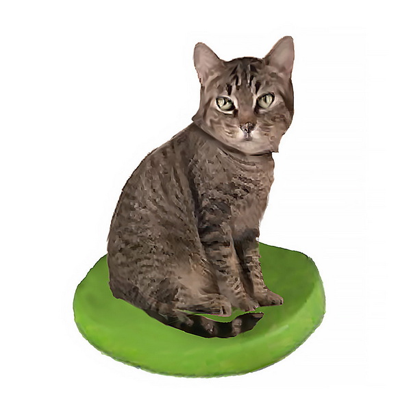 Top Cat Bobblehead Manufacturers And Suppliers in Ireland