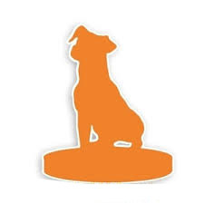 Fully Customize Dog Bobblehead