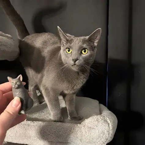 Top Cat Bobblehead Manufacturers And Suppliers in Iceland